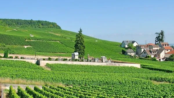 CHAMPAGNE : Canal de la Marne