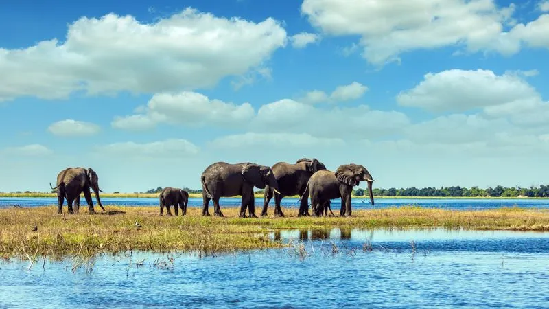 L'Afrique australe