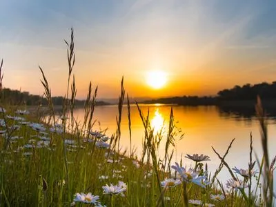 A Feast on the Rhine