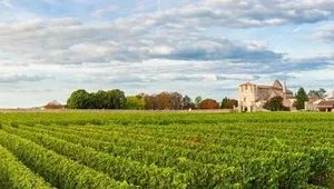 La Gironde : Entre vigne et embruns, une croisière à déguster sans modération