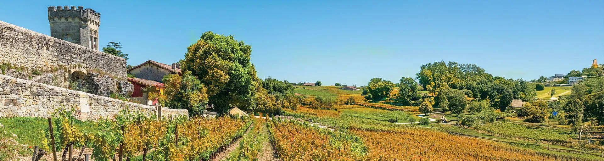 Image alt text not provided.