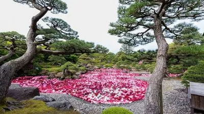 Image alt text not provided.