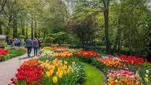 Image alt text not provided.