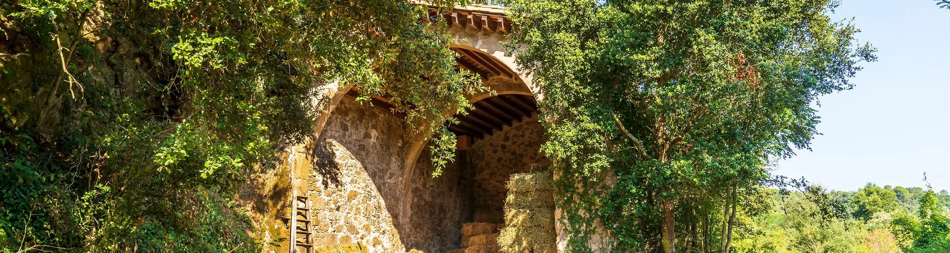 Image alt text not provided.