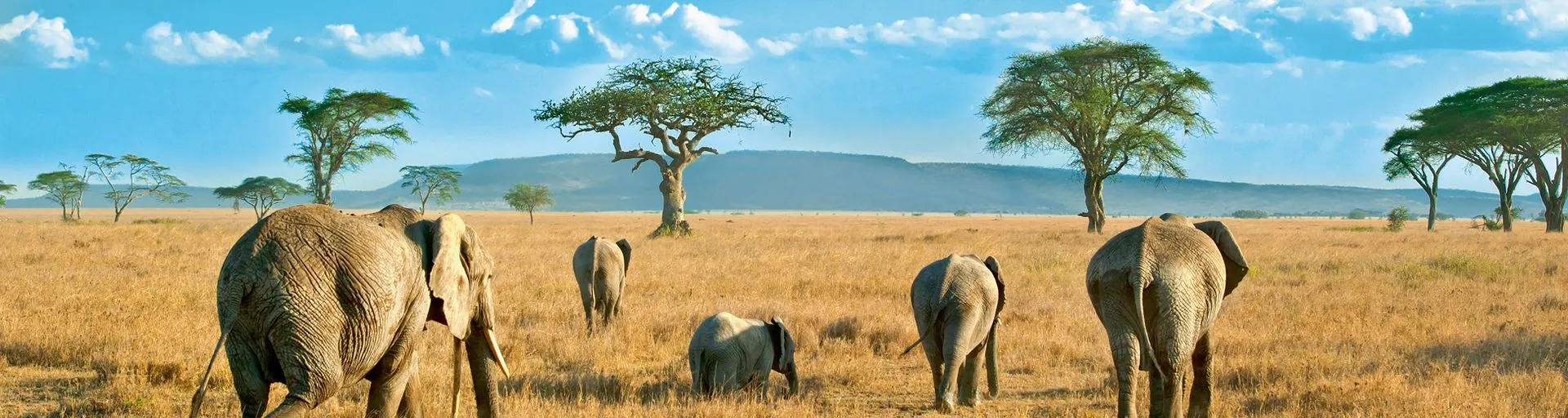 Zuidelijk Afrika