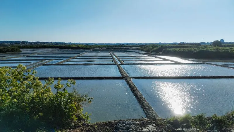 Visite guidée à la maison des Paludiers de Guérande