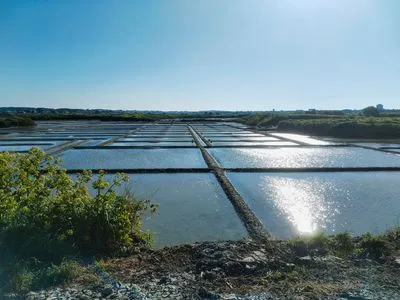 Image alt text not provided.