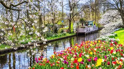 La vallée du Rhin romantique et la Hollande (formule port/port)