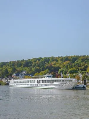 MS RENOIR