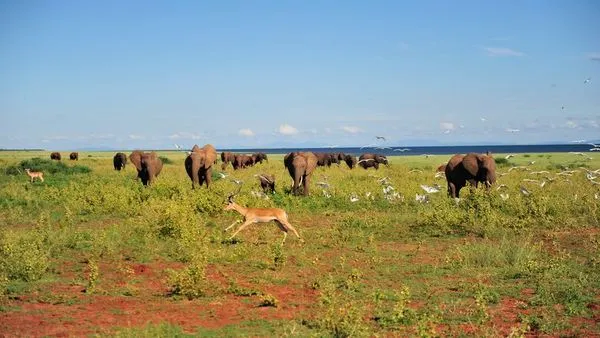 Image alt text not provided.