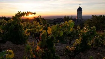 Croisière exceptionnelle sur la Saône pour célébrer le Beaujolais Nouveau (formule port/port)