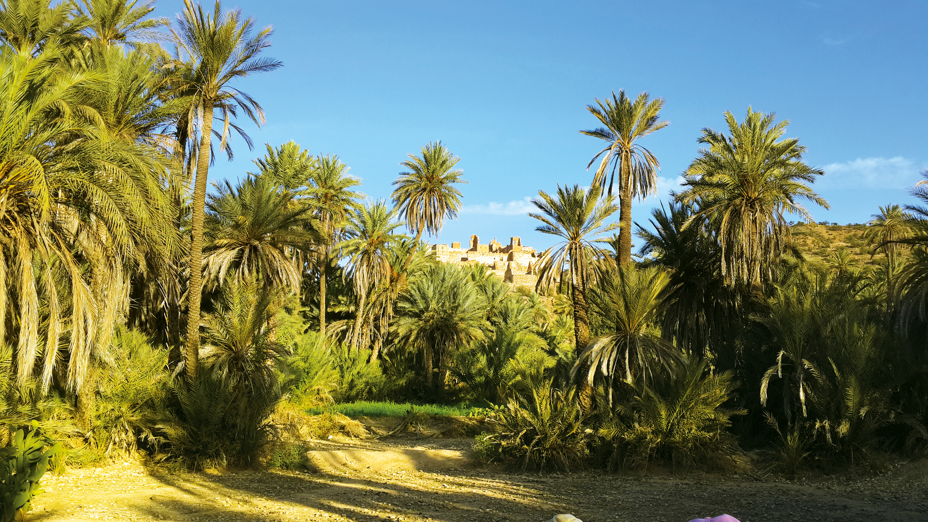 Esplendores del arte morisco Las ciudades imperiales de Marruecos - MAR_PP