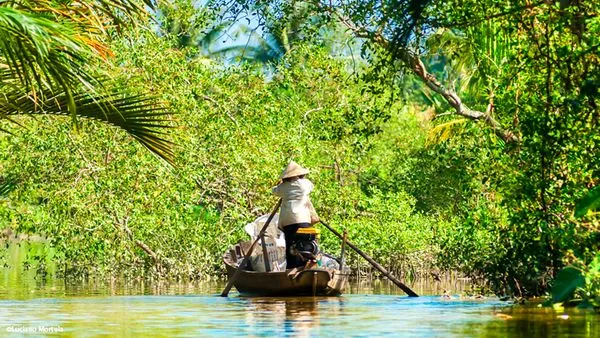 Mekong cruises (Vietnam, Cambodia)