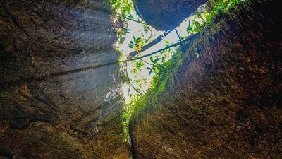 Au fil de l'Amazone et du Rio Negro - Croisière confidentielle au coeur d'une nature secrète et préservée - Rio, vibrante et éternelle, et séjour d'exception aux chutes d'Iguaçu - 6