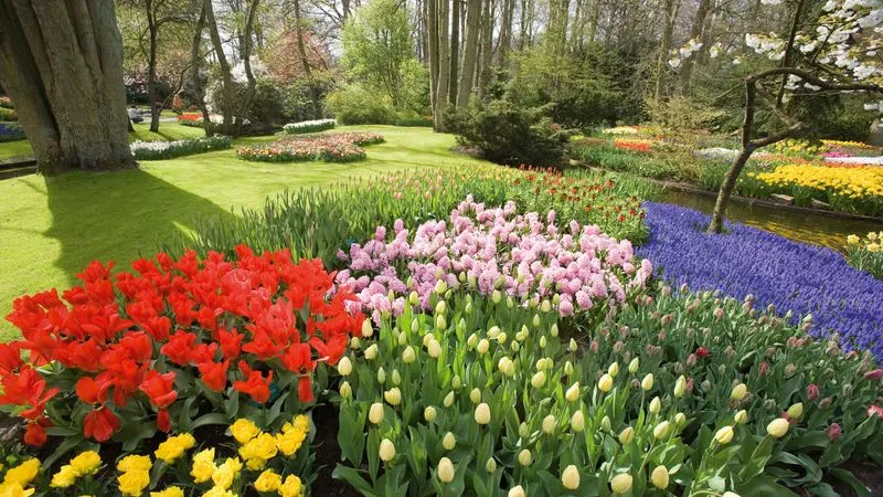 Excursion dans le parc du Keukenhof