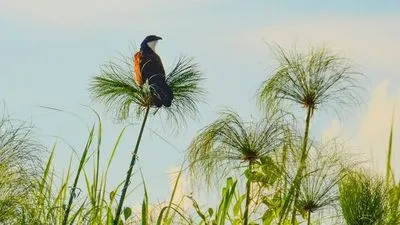 Image alt text not provided.