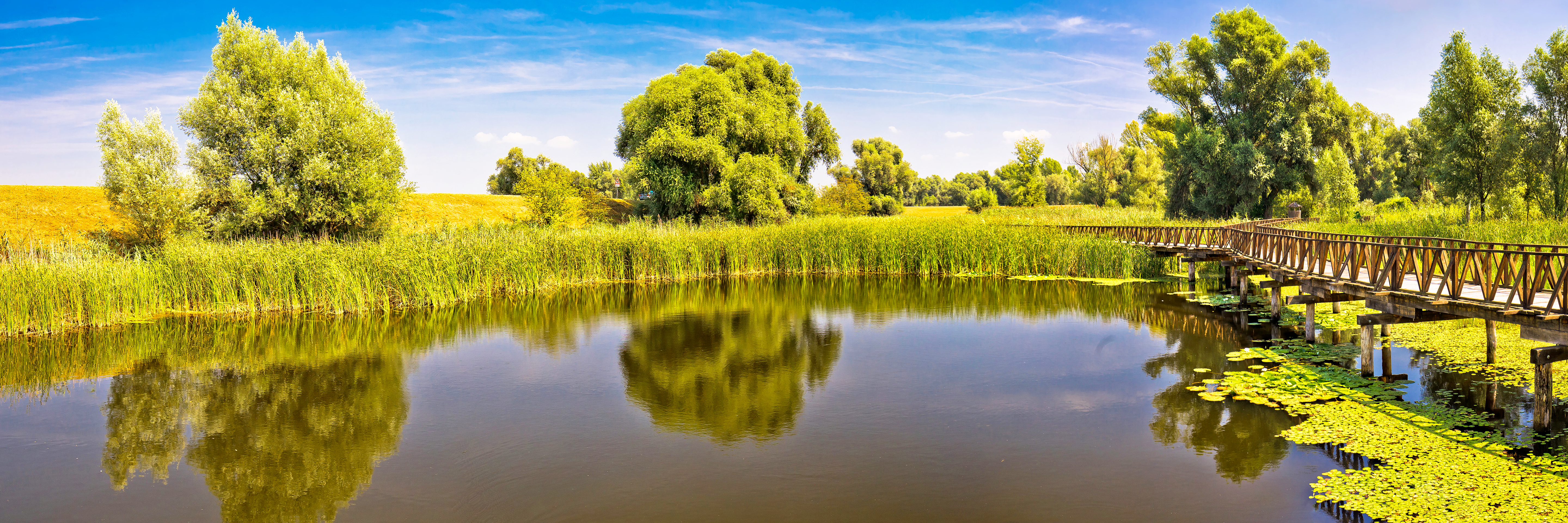 Le Danube majestueux, la Sava authentique et lac Balaton (formule port/port)