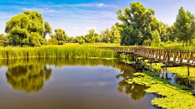 Le Danube majestueux, la Sava authentique et lac Balaton (formule port/port)