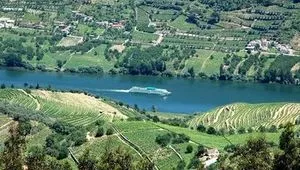 Best European river cruises for solo travellers