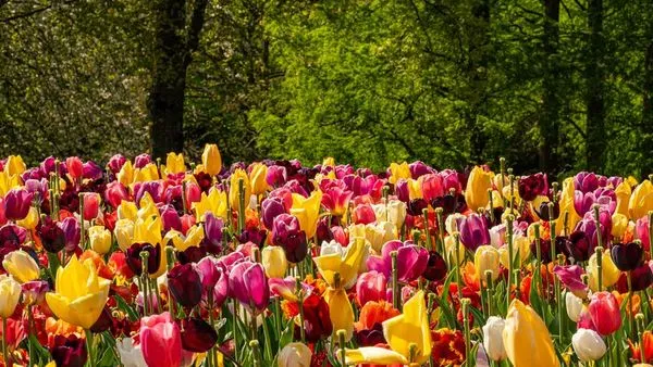 Image alt text not provided.