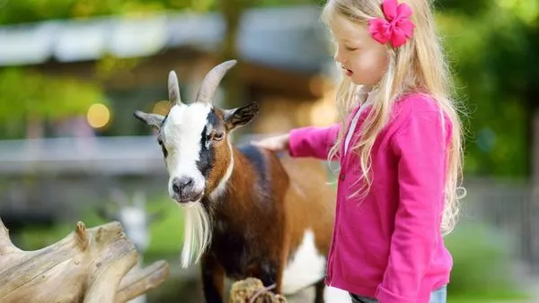 Image alt text not provided.