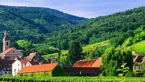 Excursion route des vins