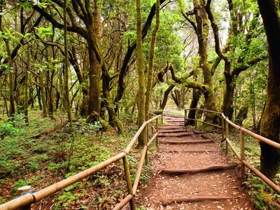 Image alt text not provided.