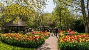 Image alt text not provided.