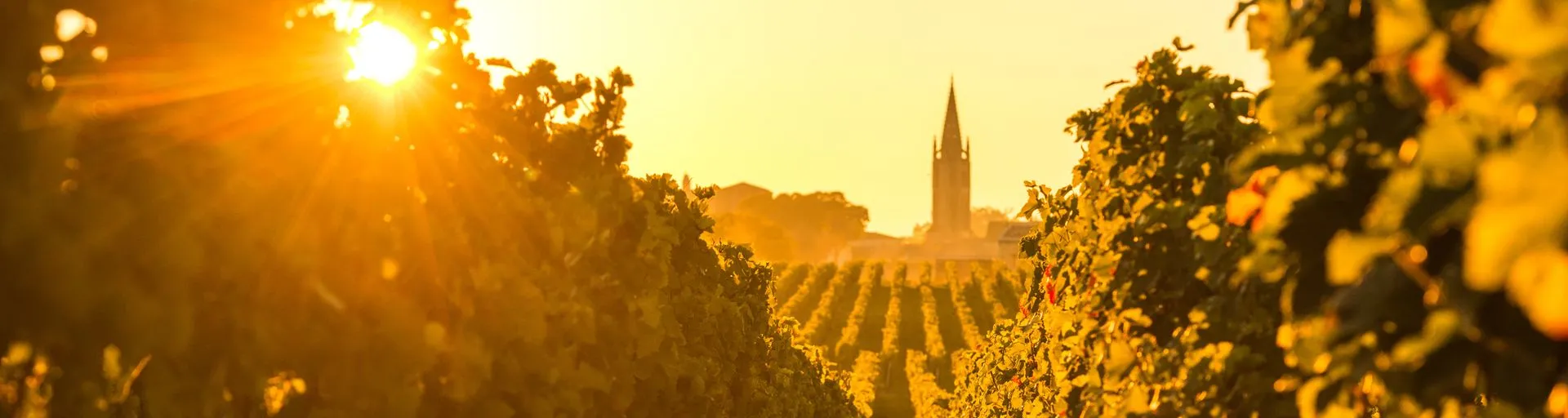 Image alt text not provided.