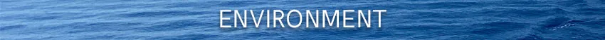 Image alt text not provided.
