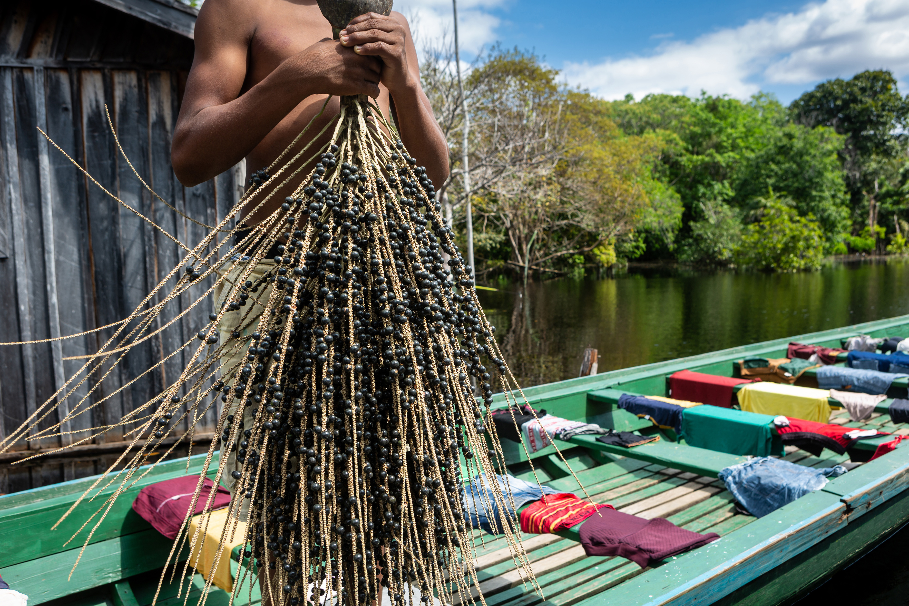 Crucero al corazón del Amazonas original Una expedición en los confines de la selva, entre Brasil y Colombia - MTA_PP