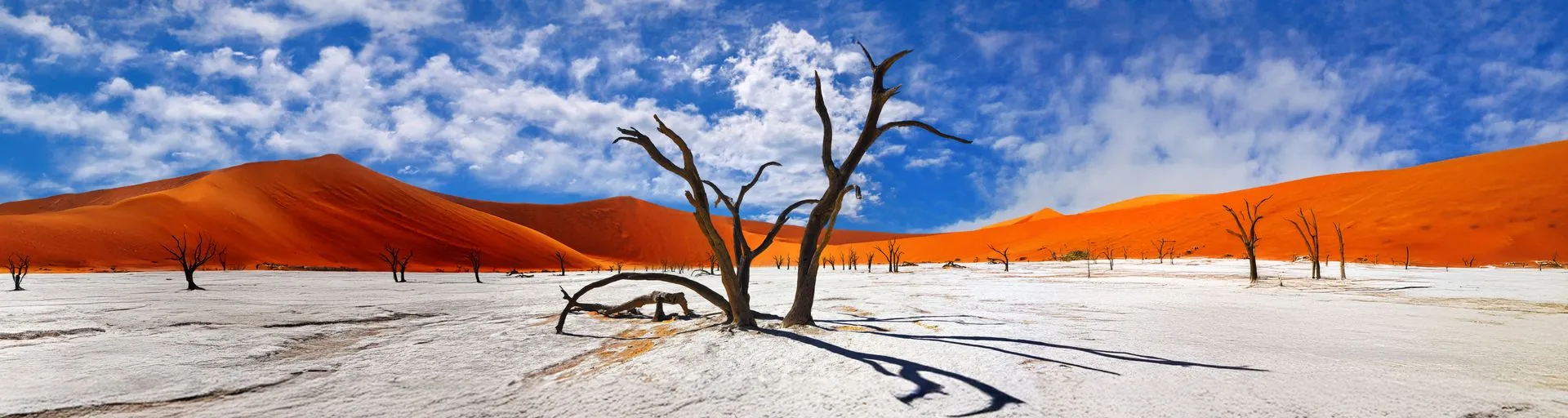 Afrique Australe