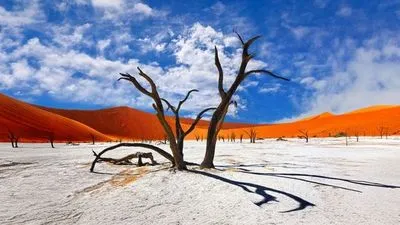 Safari-croisière au fil du Zambèze - avec pré-programme "Dunes et déserts namibiens"