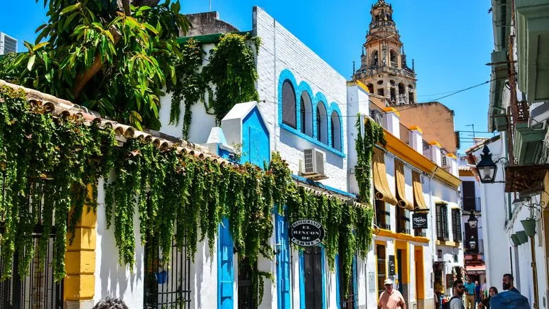 Day trip to Cordoba (lunch included)