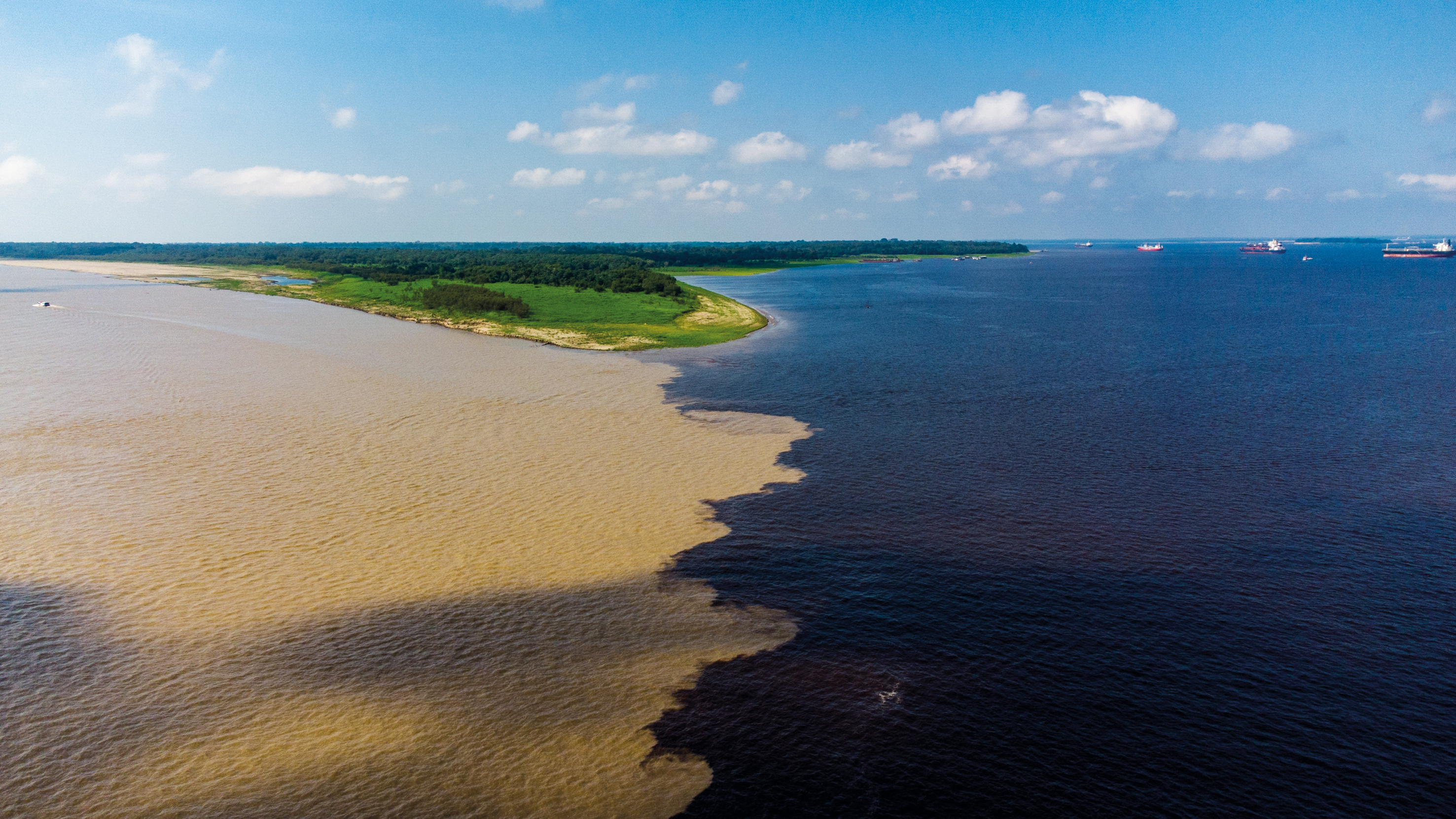 Crucero al corazón del Amazonas original Una expedición en los confines de la selva, entre Brasil y Colombia - TAM_PP
