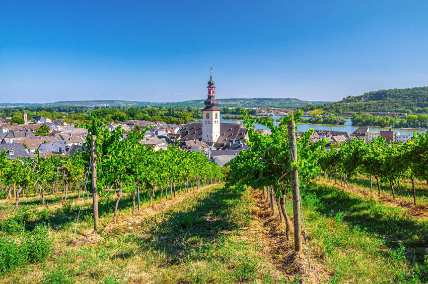 Crucero por el Rin romántico - SEH_RIEU