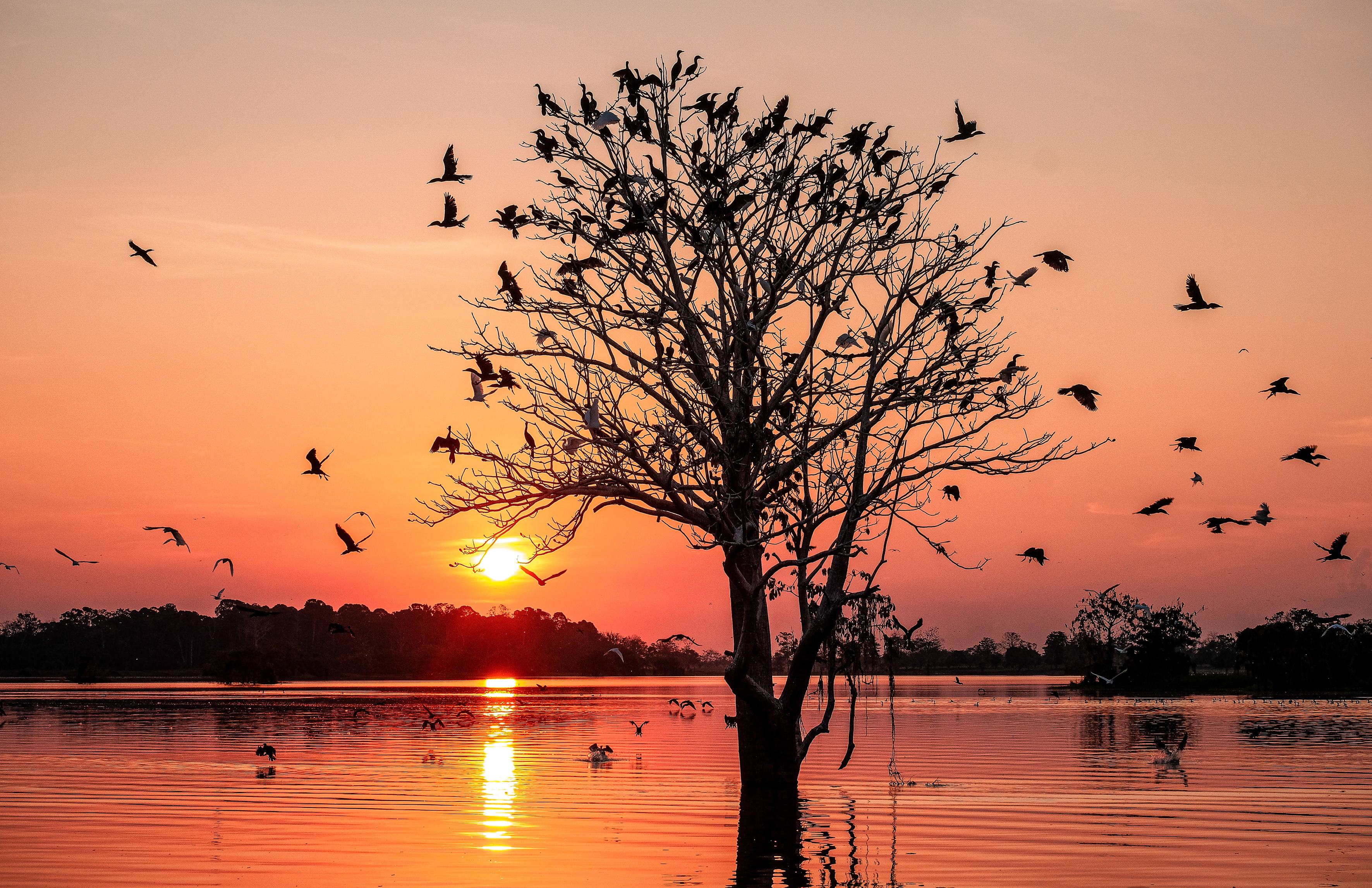 Crucero al corazón del Amazonas original Una expedición en los confines de la selva, entre Brasil y Colombia - MTA_PP