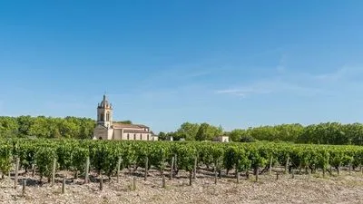 Médoc excursion and wine tasing