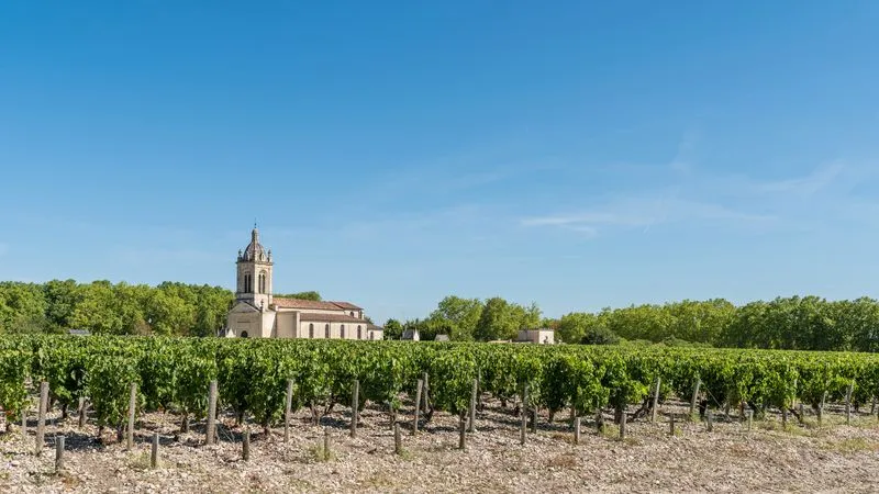 Excursión Medoc y degustación