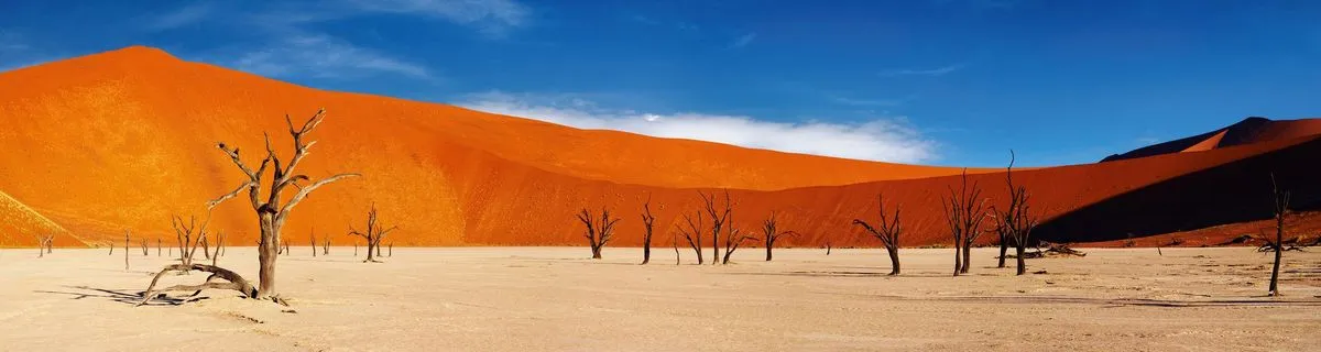 Image alt text not provided.