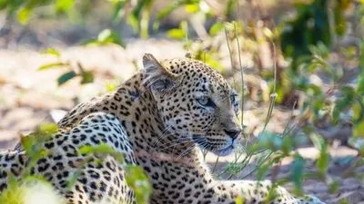 Image alt text not provided.