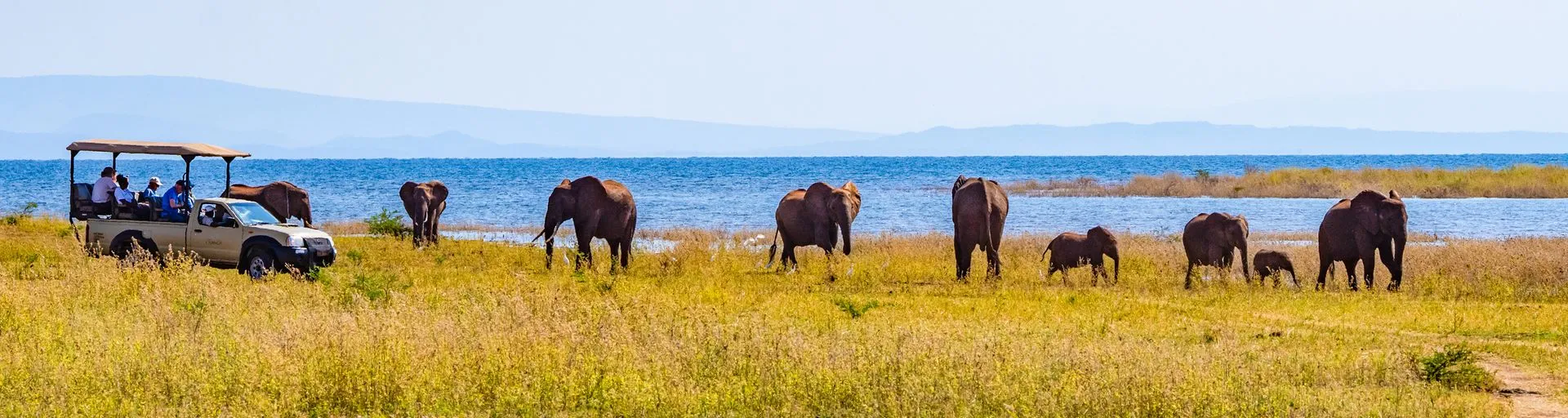 Image alt text not provided.