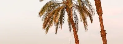 The Nile (Egypt)