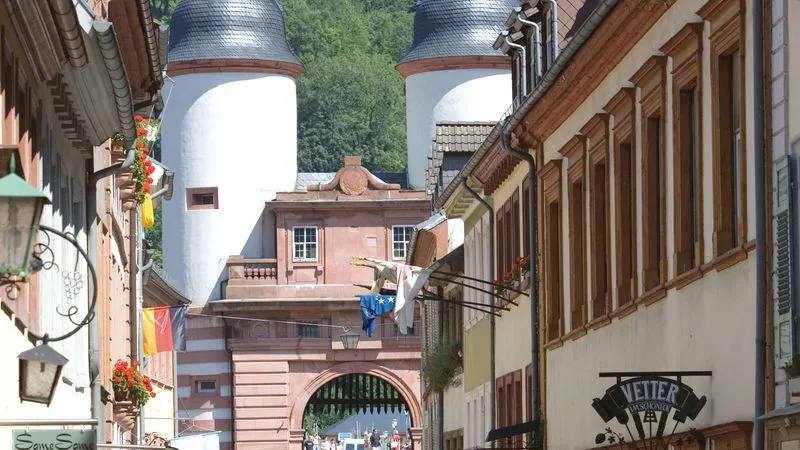 Visite guidée à pied de Heidelberg et de son château (extérieurs)