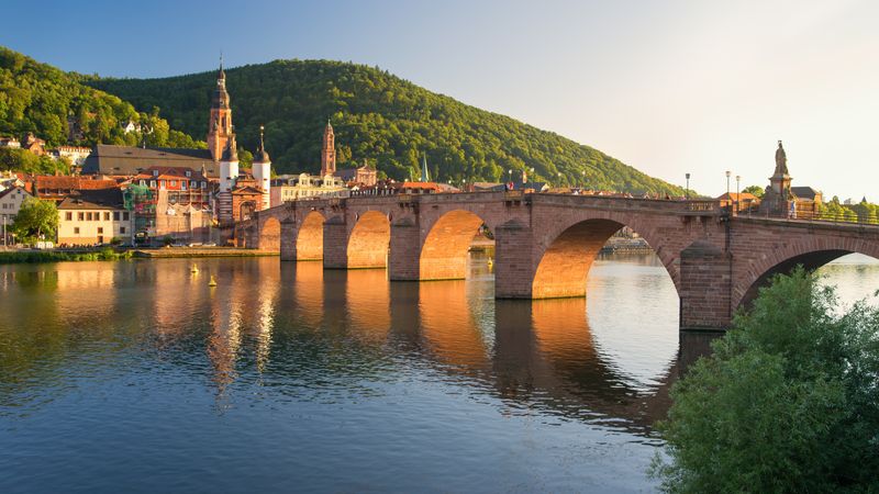 Croisière festival : légendes, festivités et gourmandises sur le Rhin ...