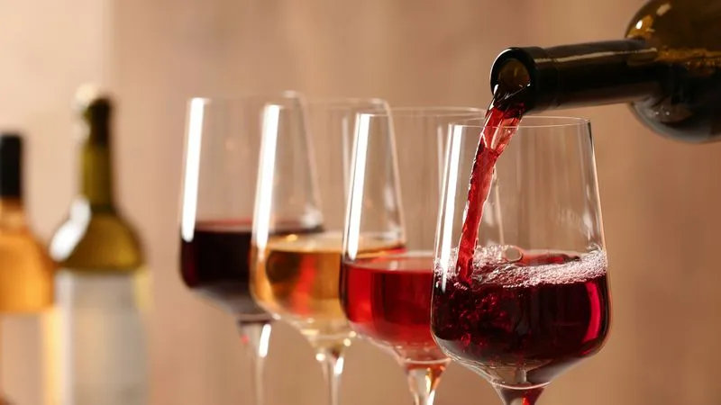 The Museum of Vine and Wine Arts and Trades in the Médoc