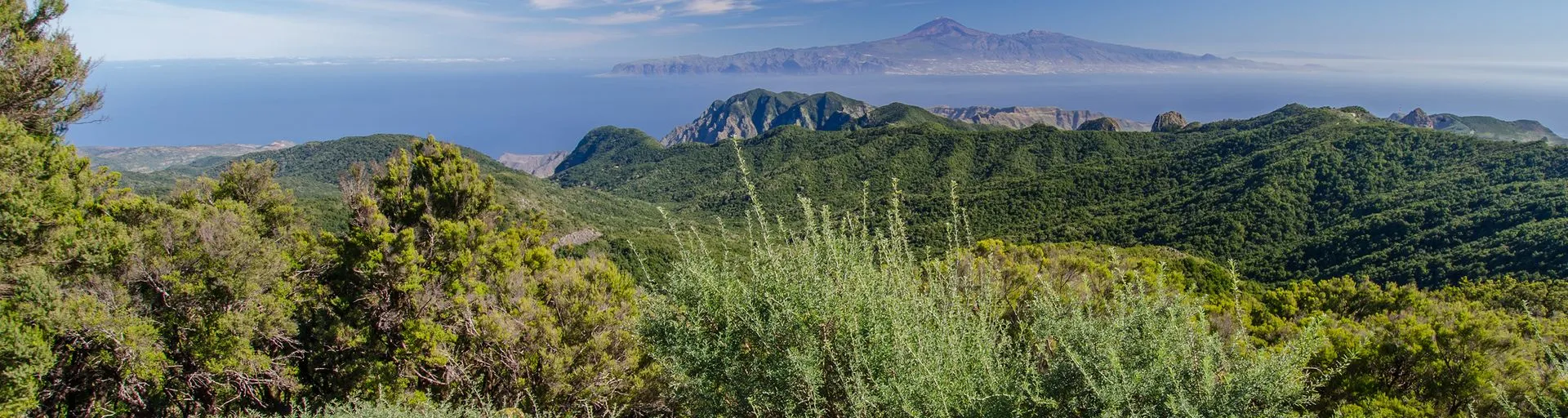 Image alt text not provided.