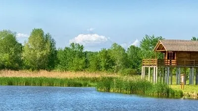 The Sava and Tisza