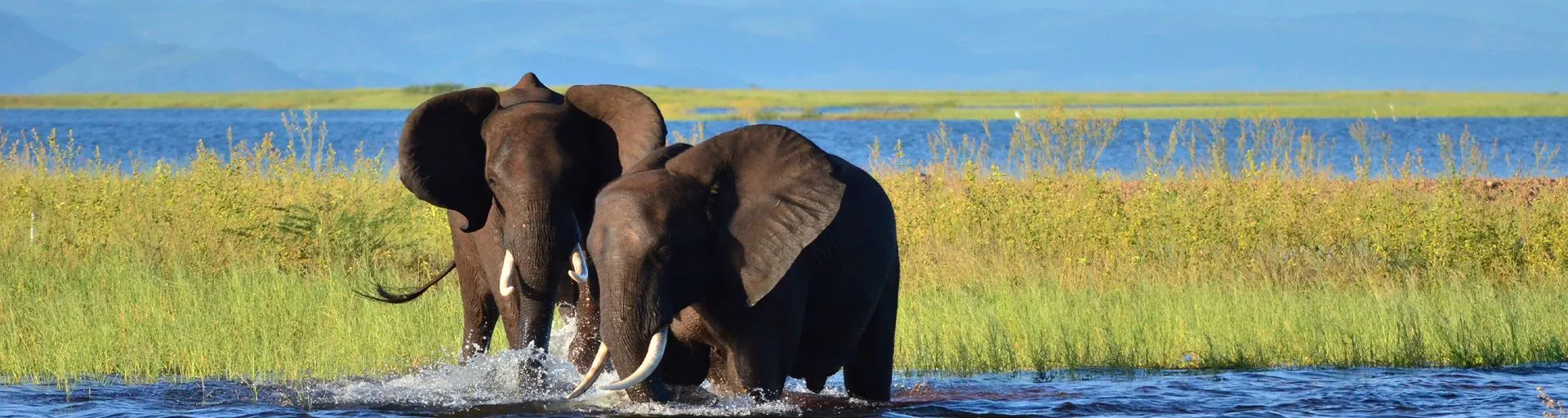 Afrique Australe