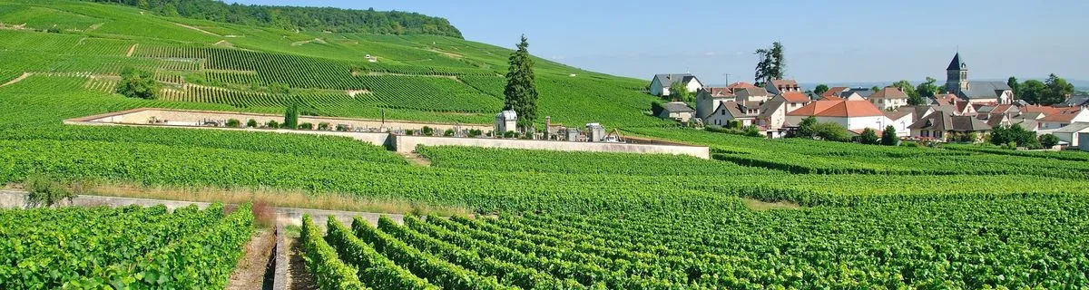 De Paris à Epernay